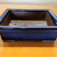 Vaso per bonsai giapponese