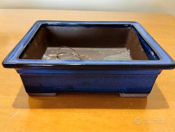 Vaso per bonsai giapponese