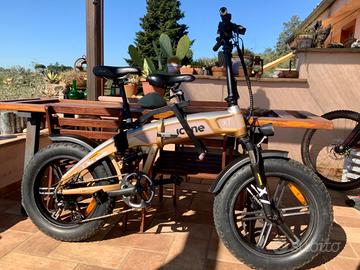 Bicicletta elettricca Fat Bike Icon X7 Titanium