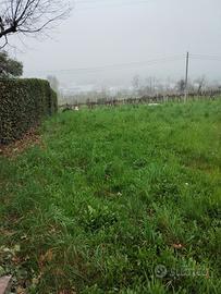 Vendo terreno agricolo a Fara Vicentino