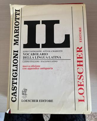 Lotto 4 Dizionari Scolastici
