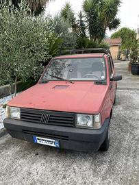 Panda young 900 cc.