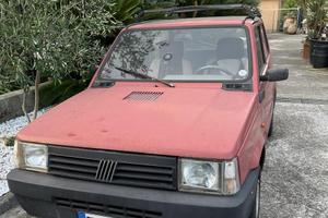 Panda young 900 cc.