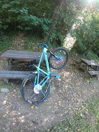 weehelie bike bianchi 29