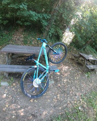 weehelie bike bianchi 29