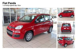 FIAT Pandina 1.0 FireFly 70 CV Hybrid (in arriv