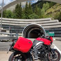 SET VALIGIE TRIUMPH TIGER SPORT