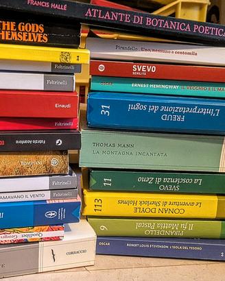 Libri (Narrativa anime manga divulgazione)