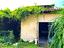 Immagine 22