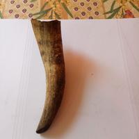 Corno di bue di montagna Anni 1950