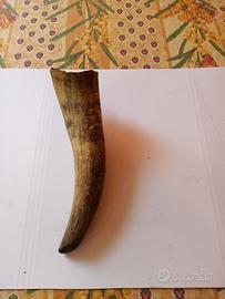 Corno di bue di montagna Anni 1950