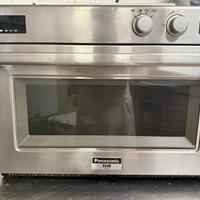 Microonde professionale