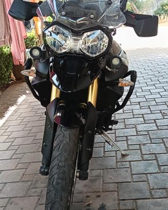 moto Triumph Tiger  800 cc