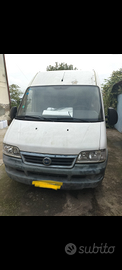 Fiat ducato maxi