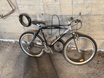 bici per passeggiate