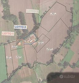 Terreno agricolo via Torricelle (USO FOTOVOLTAICO)