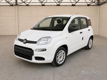 FIAT Panda III 2021 - Panda 1.0 firefly hybrid Cit