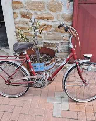 lotto biciclette 