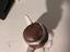 Immagine 5
