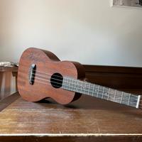 Ibanez ukulele ukc10 autografato dai Maneskin
