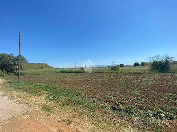 TER. AGRICOLO A ARDEA