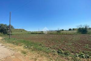TER. AGRICOLO A ARDEA