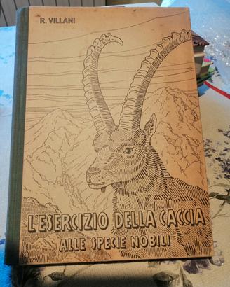 L'esercizio della caccia alle specie nobili