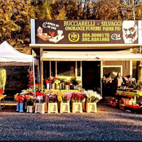 Chiosco dei fiori cimitero ceccano