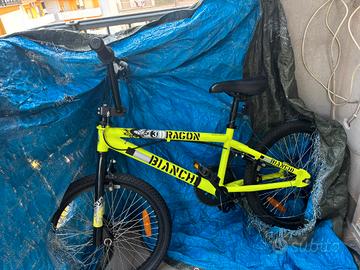 bicicletta 