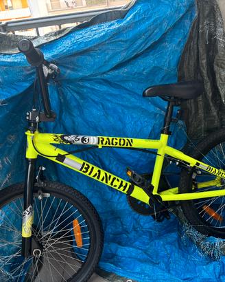 bicicletta 