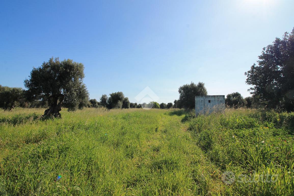 TER. RESIDENZIALE A OSTUNI - Vista 3