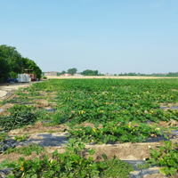 Terreno agricolo