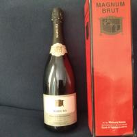 vecchie bottiglie di prosecco e spumanti