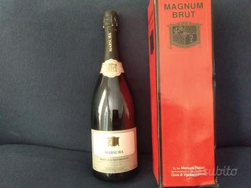 vecchie bottiglie di prosecco e spumanti