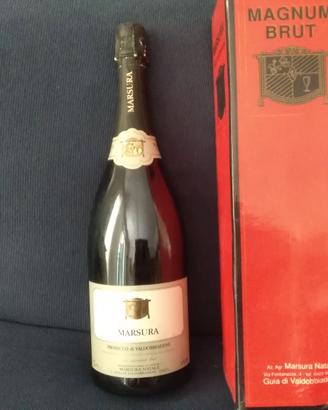 vecchie bottiglie di prosecco e spumanti