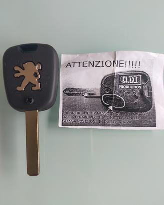 cover per telecomando auto