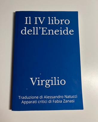 Il IV libro dell’Eneide