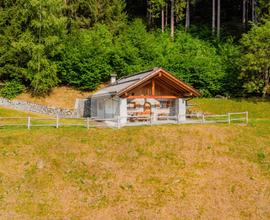 Chalet a pochi chilometri da Pinzolo