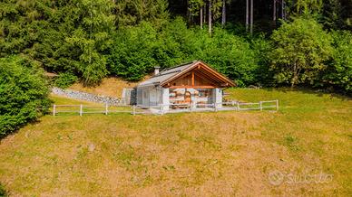 Chalet a pochi chilometri da Pinzolo