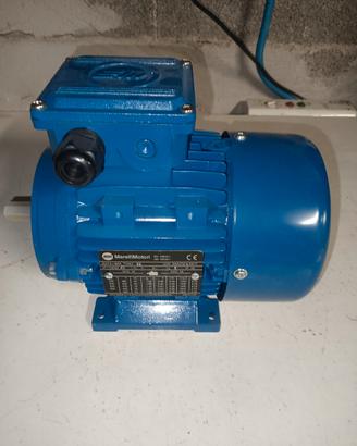 motore elettrico marelli