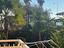 Immagine 26