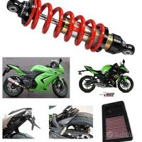 kawasaki Ninja 650 250 accessori mono catena plexi