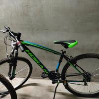 2 Bici MTB Hogan