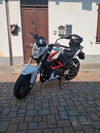 Benelli BN 251 
