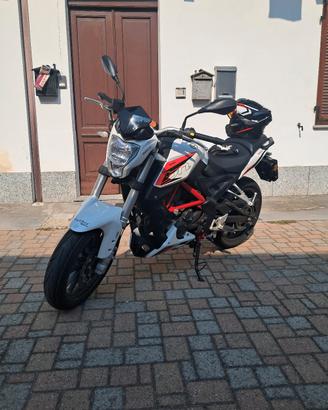 Benelli BN 251 
