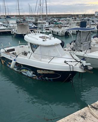 Arvor 215