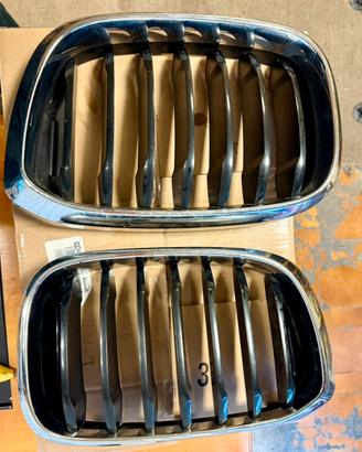 Griglie Anteriori Bmw x3 + rete