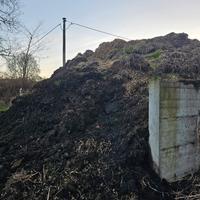 Stallatico  di cavallo