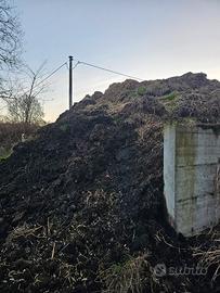 Stallatico  di cavallo