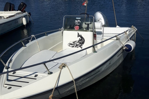 Barca 5 m con honda 40cv 4 t e carrello